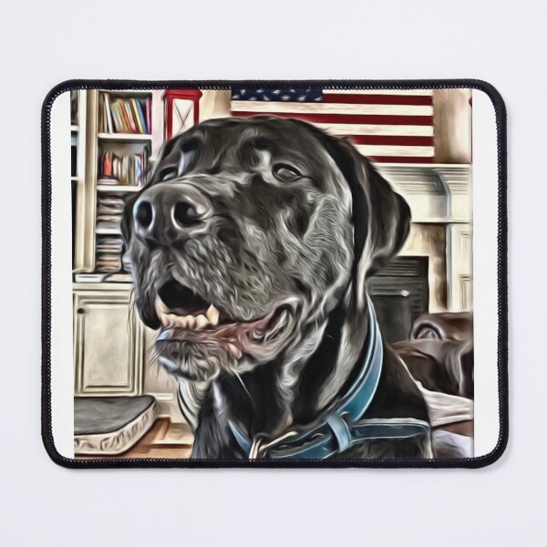 Item preview, Service dog Coastie USA flag designed and sold by Ron Macy.