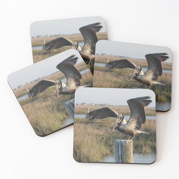 Item preview, Poised Pelican designed and sold by Autumn Seas Photography.