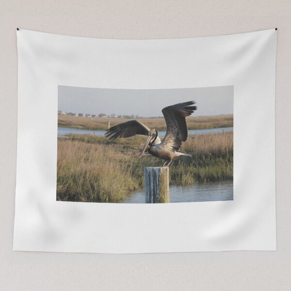 Item preview, Poised Pelican designed and sold by Autumn Seas Photography.