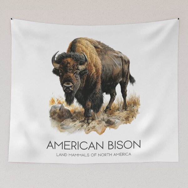 Item preview, American Bison - Land Mammals of North America designed and sold by Sketch-Shack.