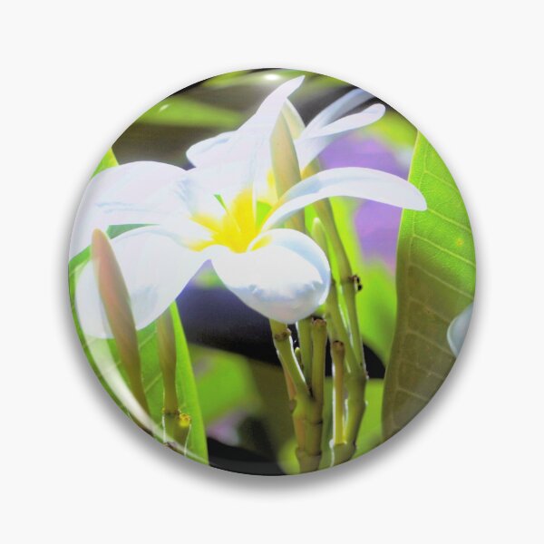 Item preview, Plumeria bunch and buds designed and sold by B. Randi Bailey.