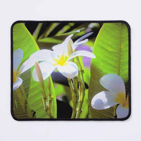 Item preview, Plumeria bunch and buds designed and sold by B. Randi Bailey.