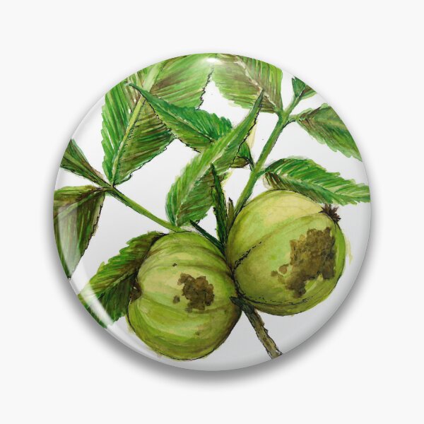 Item preview, Shagbark Hickory designed and sold by deliarfaria.