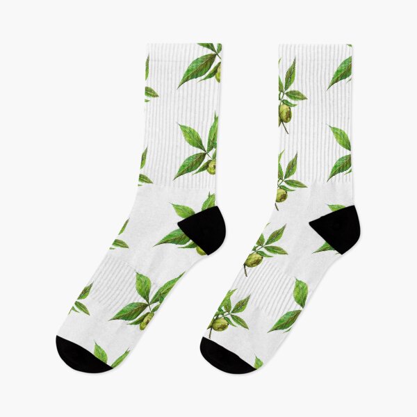 Item preview, Shagbark Hickory designed and sold by deliarfaria.