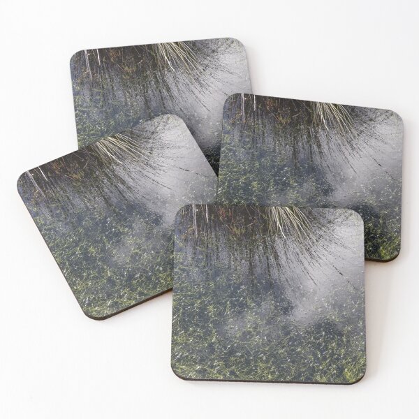 Item preview, Wetland #1 designed and sold by athexphoto.