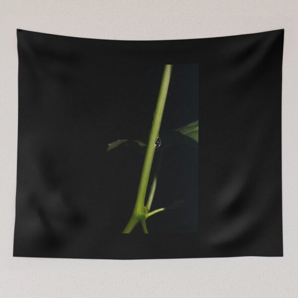 Item preview, Rain Drop designed and sold by ROSE ANN BANILAR.