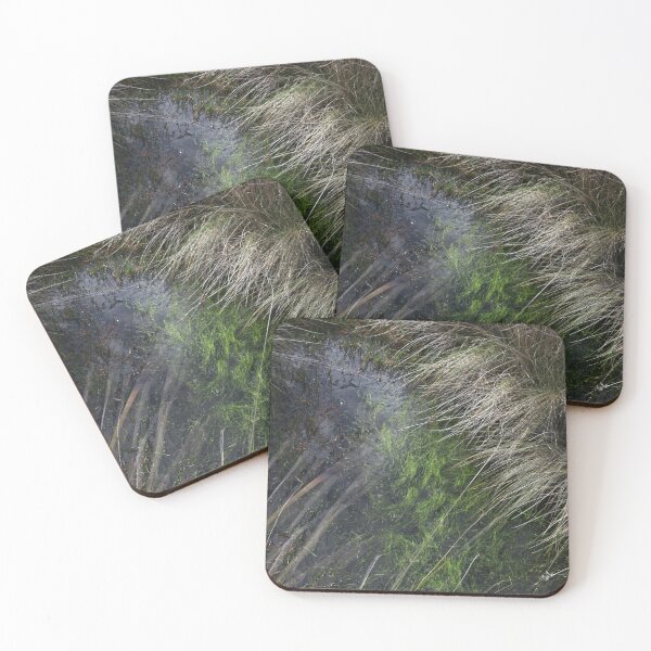 Item preview, Wetland #2 designed and sold by athexphoto.