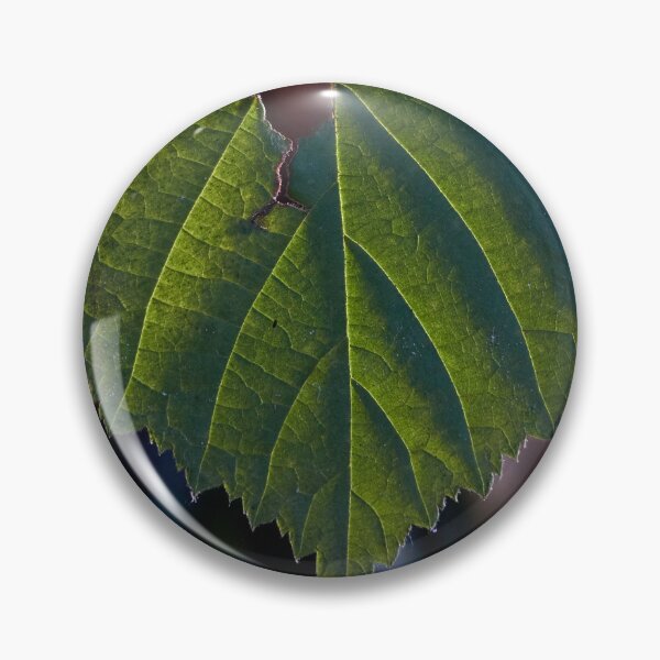 Item preview, Beauty in the Shadows and Light of a Green Leaf designed and sold by couragesings.