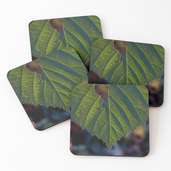Item preview, Beauty in the Shadows and Light of a Green Leaf designed and sold by couragesings.