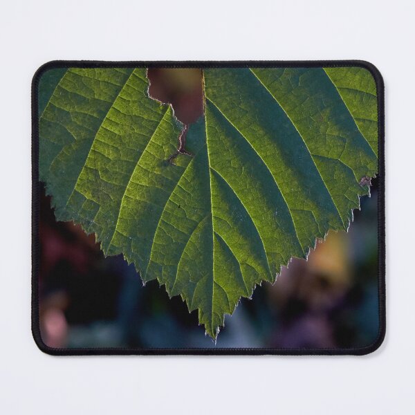 Item preview, Beauty in the Shadows and Light of a Green Leaf designed and sold by couragesings.