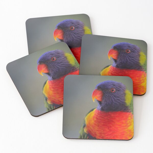 Item preview, Rainbow Lorikeet designed and sold by FallenTrickster.