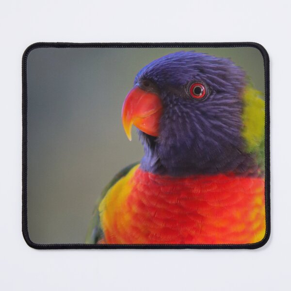 Item preview, Rainbow Lorikeet designed and sold by FallenTrickster.