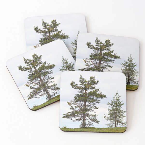 Item preview, Old and young pine together designed and sold by Jouko Lehto Photography.