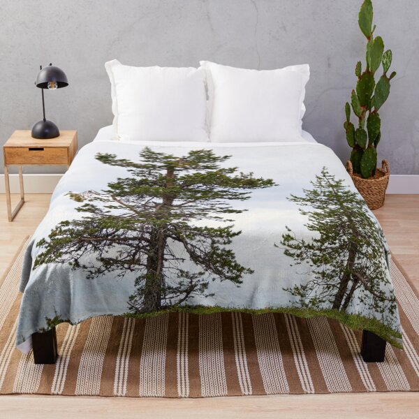 Item preview, Old and young pine together designed and sold by Jouko Lehto Photography.