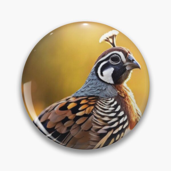 Item preview, cute quail pictures designed and sold by johndesignwaves.