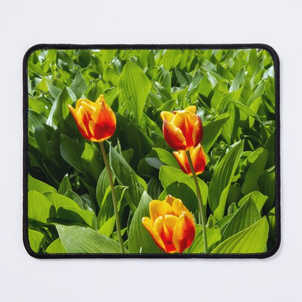 Item preview, Tulip 7 designed and sold by yunee.