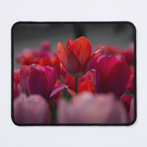 Item preview, Be Different ! tulip edition designed and sold by FifyShop09.