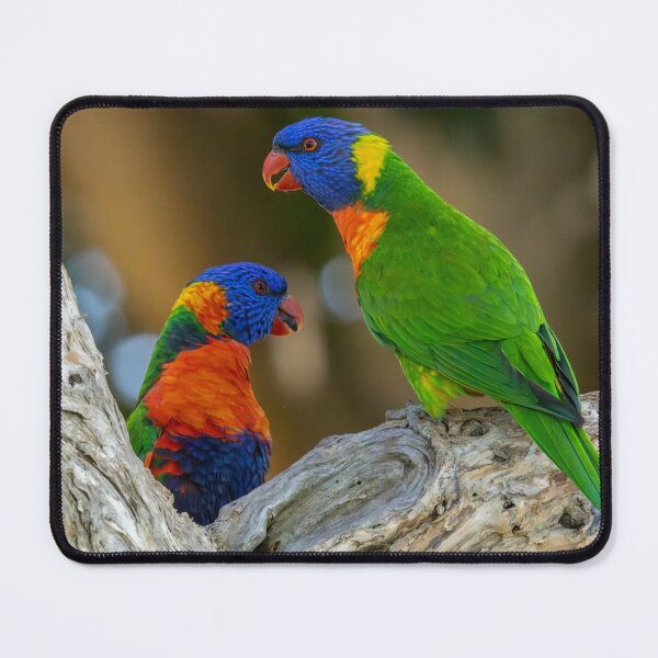 Item preview, Rainbow Lorikeet Parrots designed and sold by Susiepie.