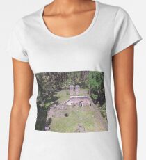 Dummitt Historical Plantation Mills Ruins Women's Premium T-Shirt