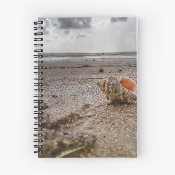 Item preview, Seashell designed and sold by gethiraved.