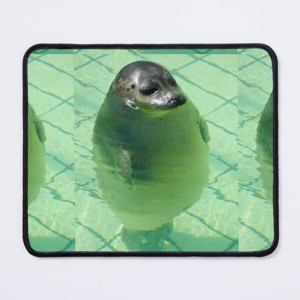 Item preview, Awkward seal designed and sold by Ratcatdoggg.