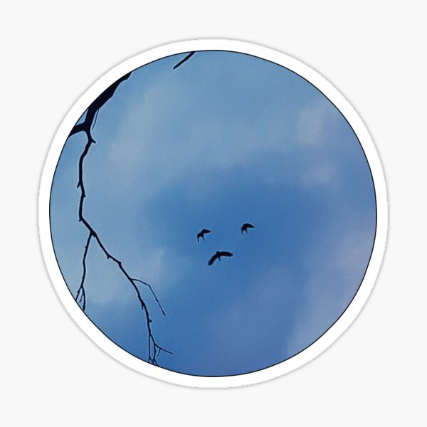Item preview, Face Pareidolia Birds Feeling Blue Sad Face 3 of 4 designed and sold by Beachy.