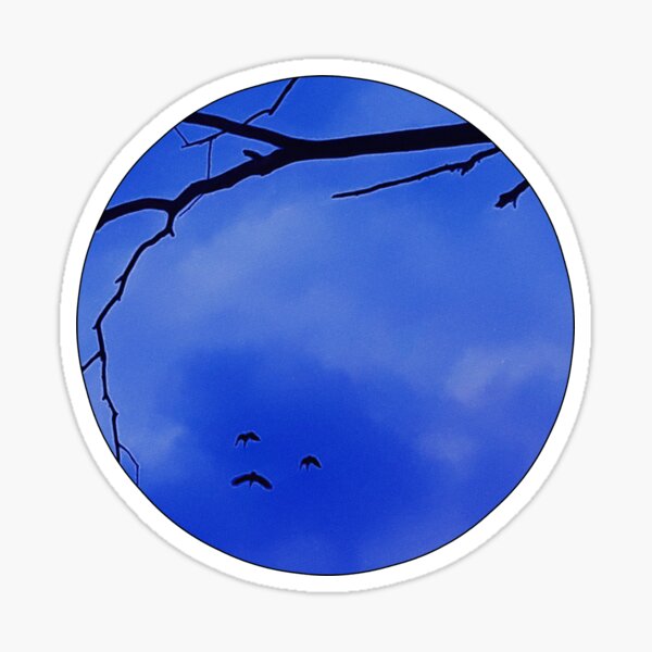 Item preview, Face Pareidolia Birds Feeling Blue Sad Face 4 of 4 designed and sold by Beachy.