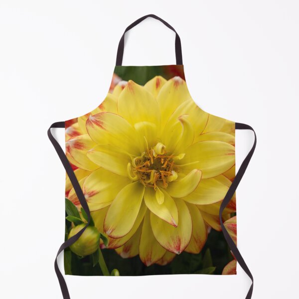 Item preview, Yellow & Red Dahlia flower Closeup designed and sold by Harmony Of The Mind.