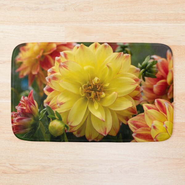 Item preview, Yellow & Red Dahlia flower Closeup designed and sold by Harmony Of The Mind.