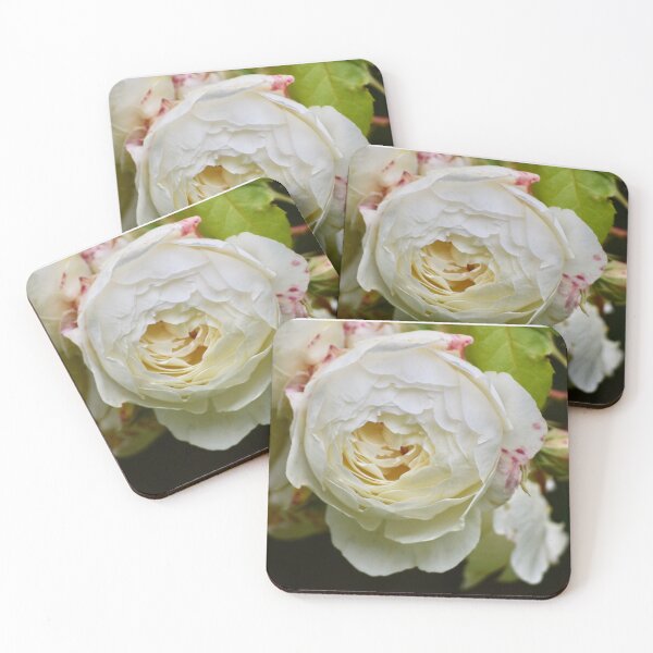 Item preview, English Rose designed and sold by CatherineMoore4.