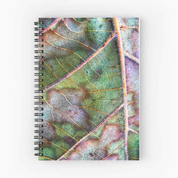 Item preview, Leaf in Fall designed and sold by Scopic.