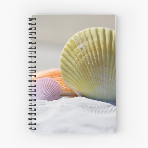 Item preview, Beach Nature Sand Shells designed and sold by ridthestigma.