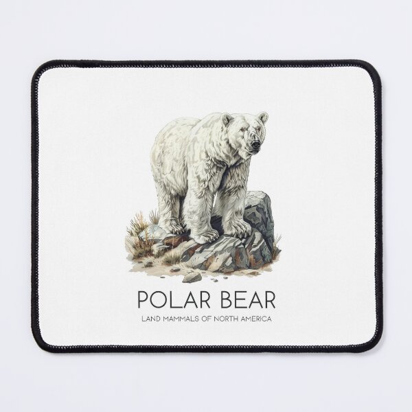 Item preview, Polar Bear - Land Mammals of North America designed and sold by Sketch-Shack.