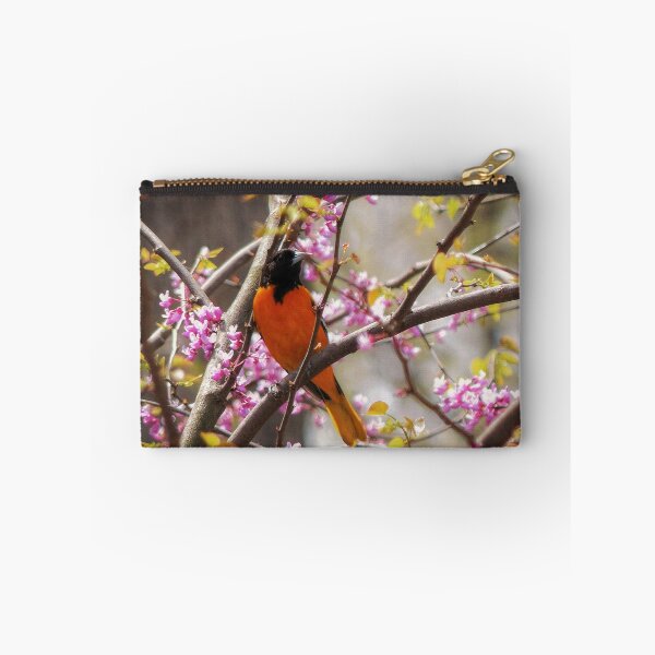 Artikelvorschau, Baltimore-Oriole entworfen und verkauft von Frankie Cat Photography.