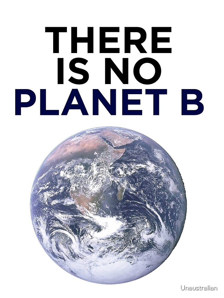 Disover There is No Planet B Premium Matte Vertical Poster