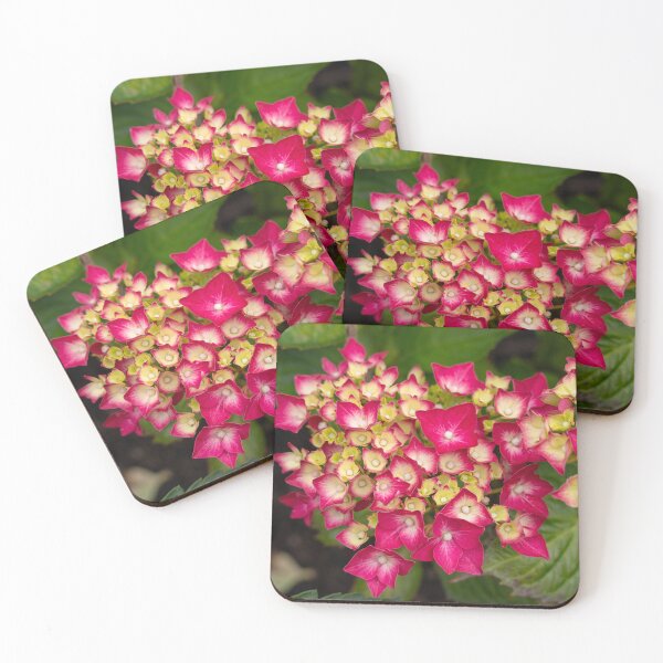 Item preview, Raspberry Color Hydrangea Flower With Green Foliage Background. designed and sold by Harmony Of The Mind.