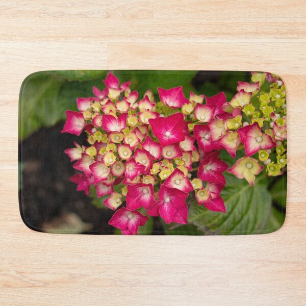 Item preview, Raspberry Color Hydrangea Flower With Green Foliage Background. designed and sold by Harmony Of The Mind.