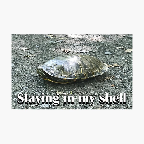 Item preview, Turtle staying in my shell meme nature animal designed and sold by TheCutesyDoodle.