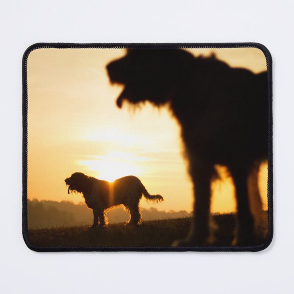Item preview, Italian Spinone Silhouettes designed and sold by FOLK ART FUSION by heidiannemorris.