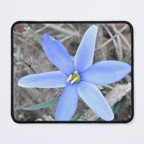 Item preview, Beauty in the wild designed and sold by BeNaturally24.
