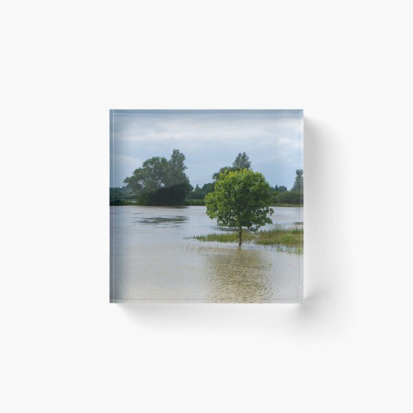 Item preview, When the  river was  high designed and sold by jchanders.