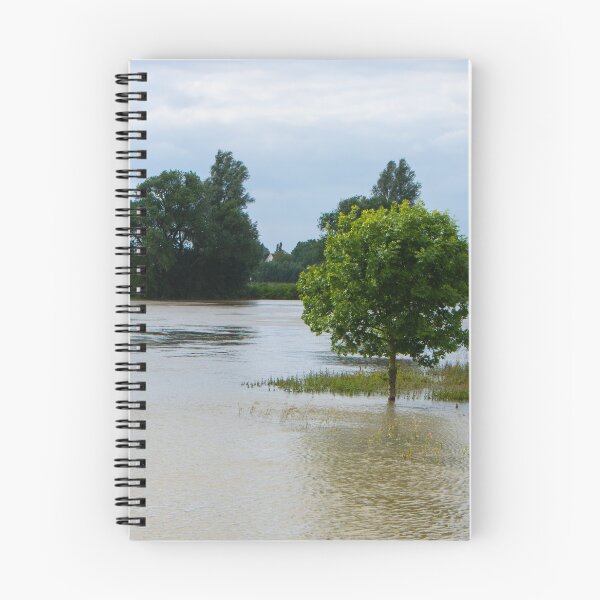 Item preview, When the  river was  high designed and sold by jchanders.