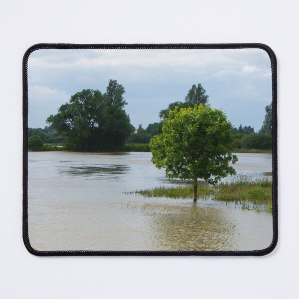 Item preview, When the  river was  high designed and sold by jchanders.