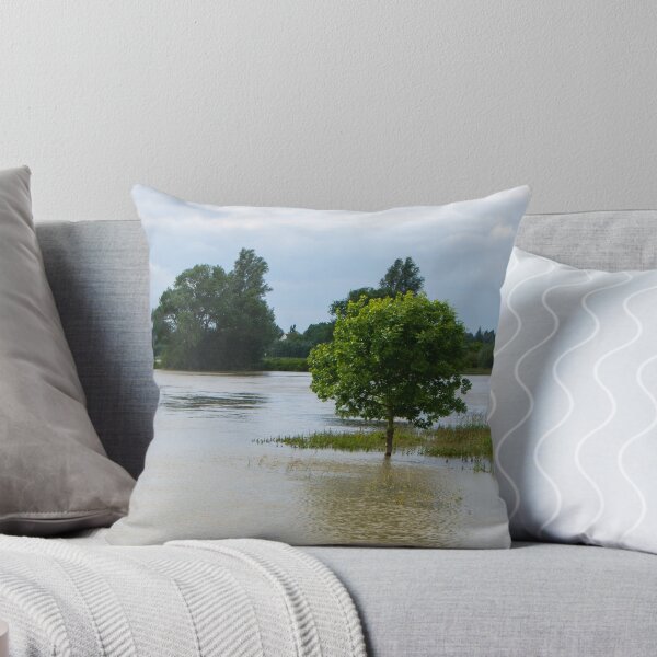 Item preview, When the  river was  high designed and sold by jchanders.