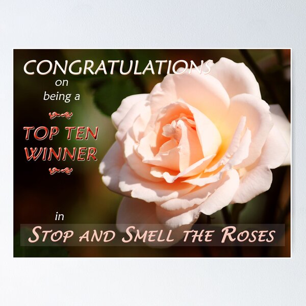 Item preview, “Top Ten Winner – Stop and Smell the Roses”  Banner designed and sold by Stephie Butler.