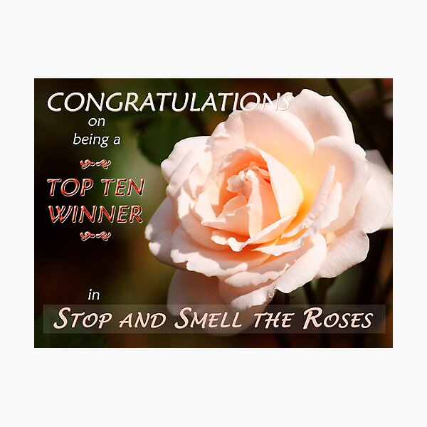 Item preview, “Top Ten Winner – Stop and Smell the Roses”  Banner designed and sold by Stephie Butler.