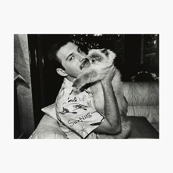 Item preview, Freddie and His cats  designed and sold by oldietees.