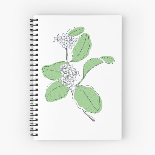 Item preview, MayFlower designed and sold by lsillustrated.