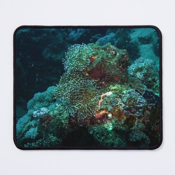 Item preview, Soft Coral designed and sold by likbatonboot.