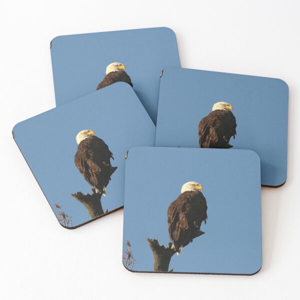 Item preview, Elegant eagle designed and sold by locustgirl.